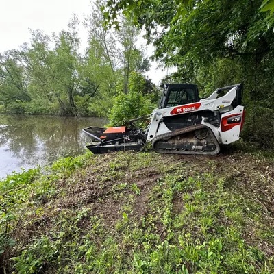 Clearing along a creek bank