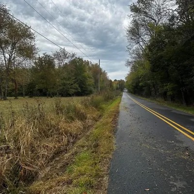 Roadside grading and clearing