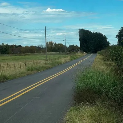 Roadside mowing and cleanup