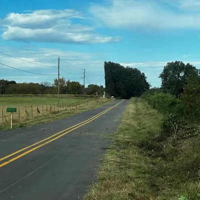 Roadside clearing project